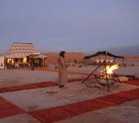 Desert Tranquility